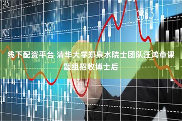 线下配资平台 清华大学郑泉水院士团队汪鸿章课题组招收博士后