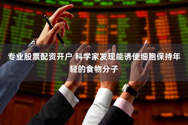 专业股票配资开户 科学家发现能诱使细胞保持年轻的食物分子